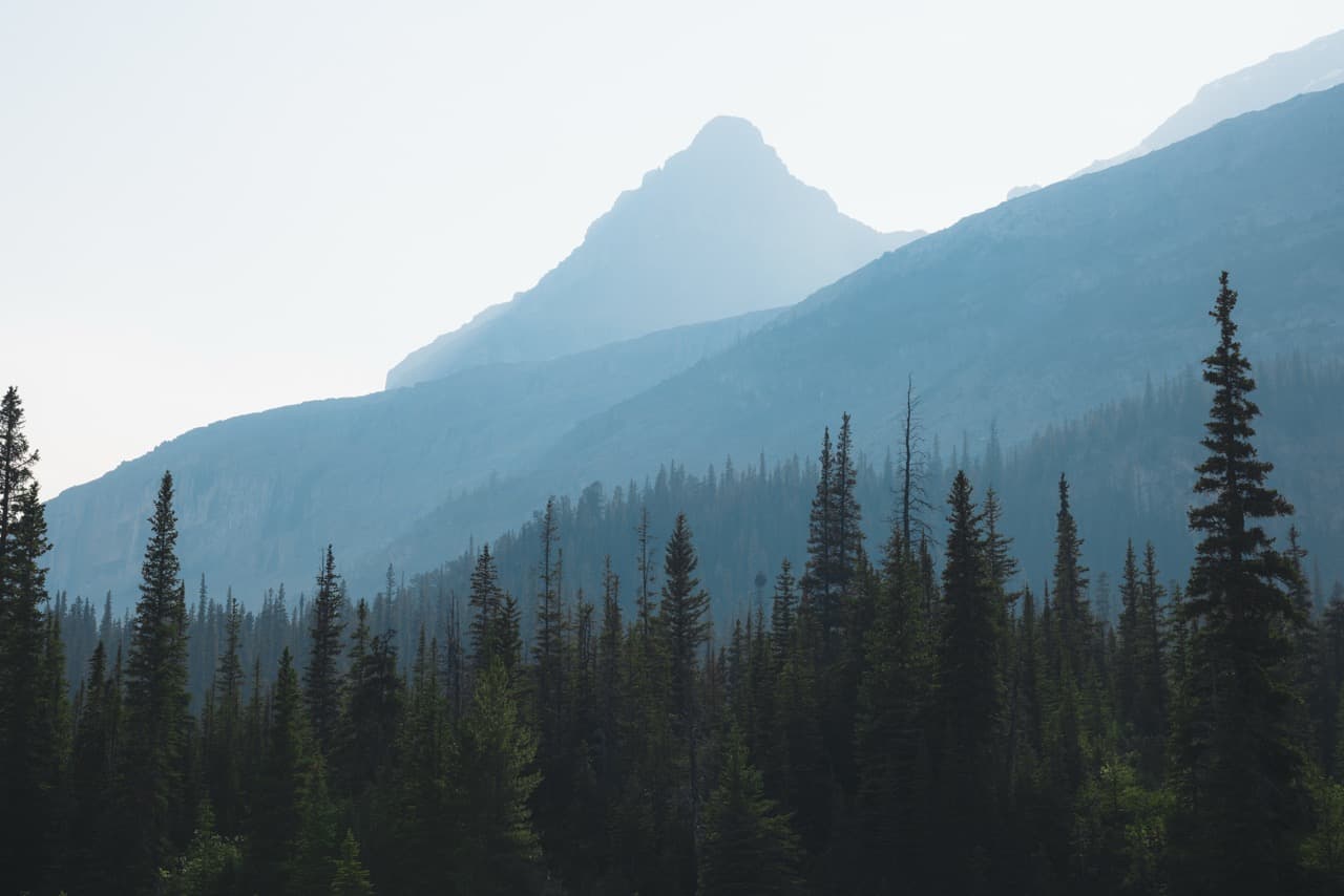 Misty mountain above a forest
