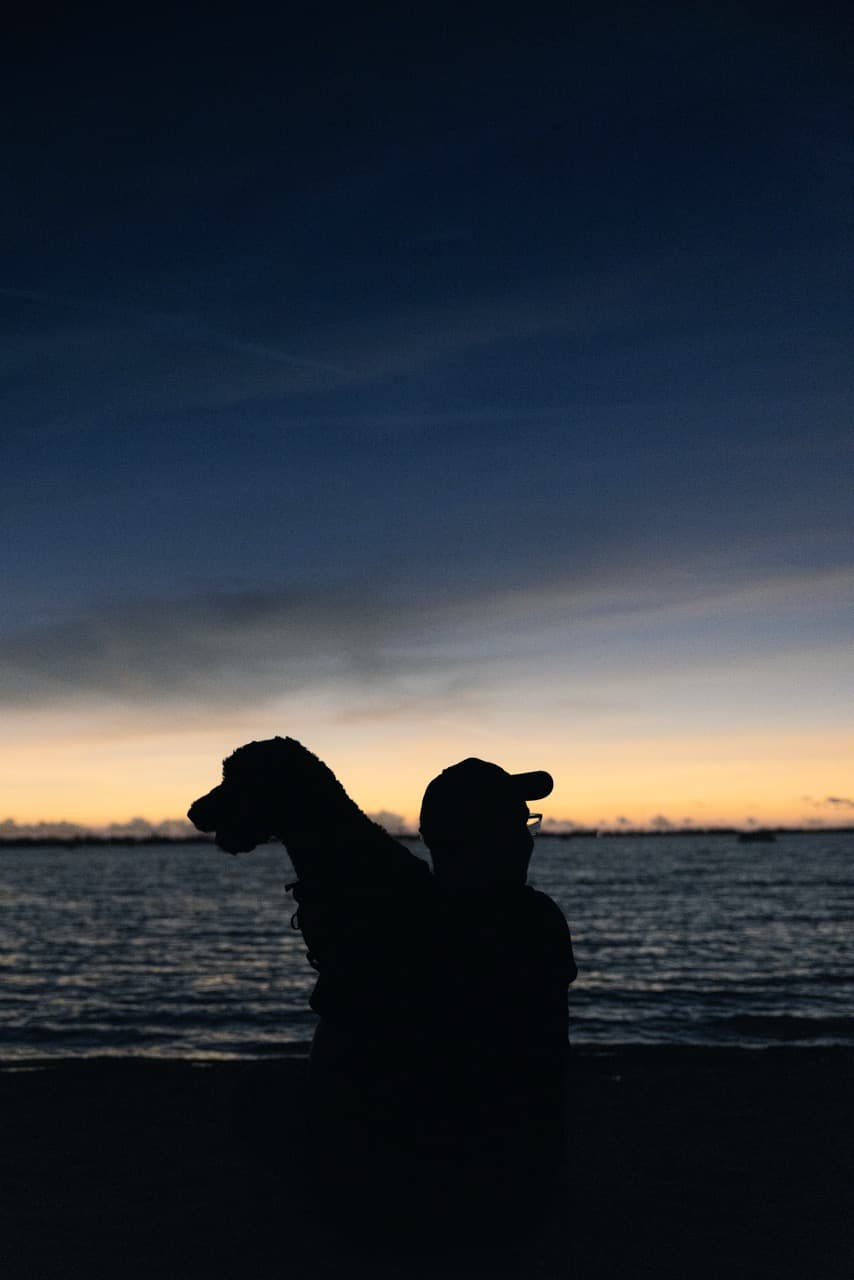 Two silhouettes by the water at sunset